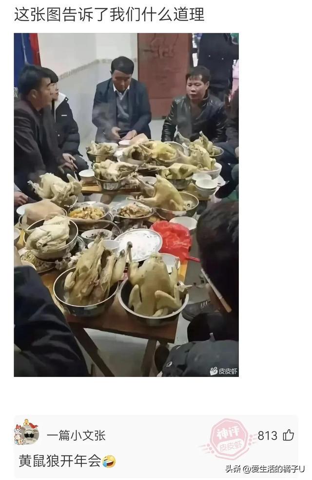 神回复:甘蔗也好吃,就是果皮太硬,果仁噎嗓子 神回复:甘蔗也好吃,就是果皮太硬,果仁噎嗓子