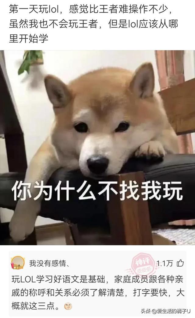 神回复:甘蔗也好吃,就是果皮太硬,果仁噎嗓子 神回复:甘蔗也好吃,就是果皮太硬,果仁噎嗓子