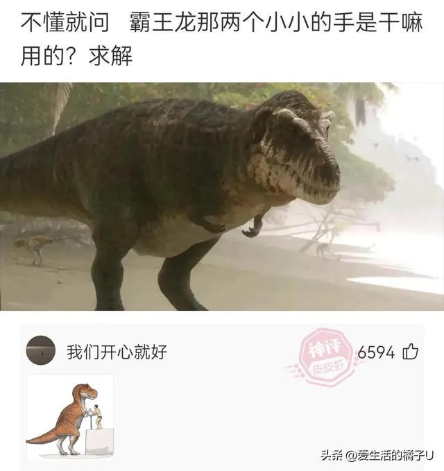 神回复:甘蔗也好吃,就是果皮太硬,果仁噎嗓子 神回复:甘蔗也好吃,就是果皮太硬,果仁噎嗓子