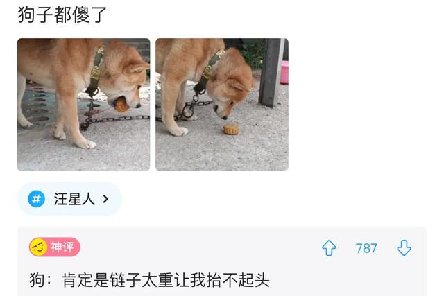 爆笑神评:事情已经发生了,该怎么跟老公交代? 爆笑神评:事情已经发生了,该怎么跟老公交代?
