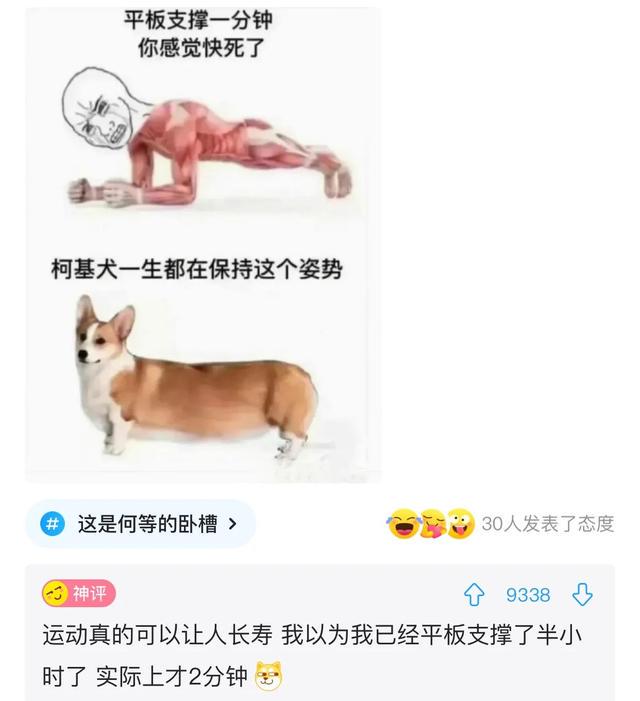 爆笑神评:事情已经发生了,该怎么跟老公交代? 爆笑神评:事情已经发生了,该怎么跟老公交代?