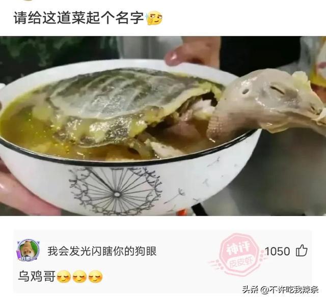 搞笑的神回复,追求者卖房帮助我,我应该怎么对他负责? 搞笑的神回复,追求者卖房帮助我,我应该怎么对他负责?