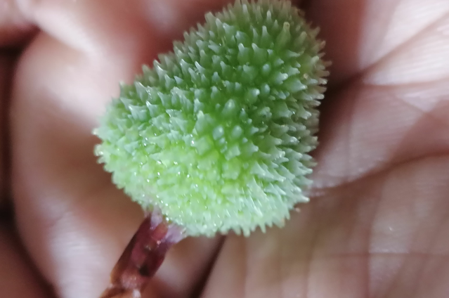 当纹身“老了”会变成什么样? 看完估计肠子都悔青了!啊哈哈哈~ 当纹身“老了”会变成什么样? 看完估计肠子都悔青了!啊哈哈哈~