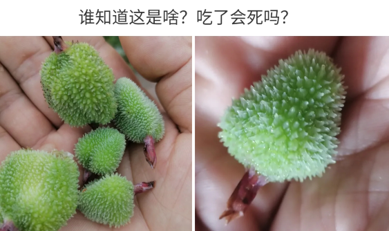 当纹身“老了”会变成什么样? 看完估计肠子都悔青了!啊哈哈哈~ 当纹身“老了”会变成什么样? 看完估计肠子都悔青了!啊哈哈哈~