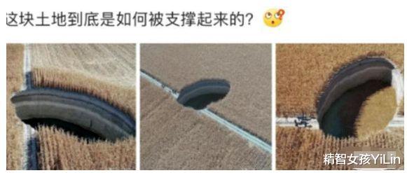 “小姐姐,风太大了就别穿裙子了,真的会原形毕露的!”啊哈哈哈哈... “小姐姐,风太大了就别穿裙子了,真的会原形毕露的!”啊哈哈哈哈...