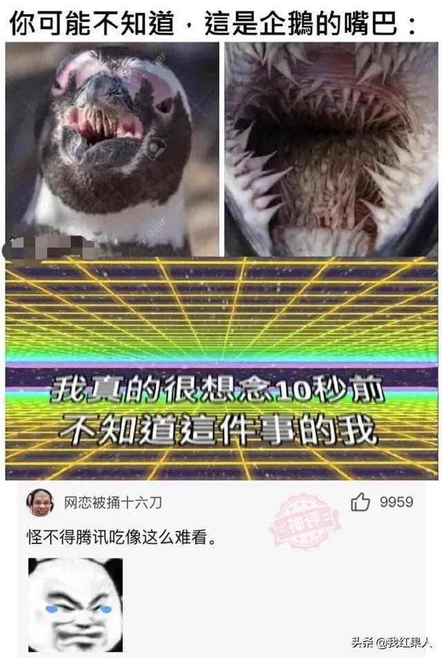 图二是我家麦田,找他们索赔十亿多吗?爆笑神评:你的云呢? 图二是我家麦田,找他们索赔十亿多吗?爆笑神评:你的云呢?