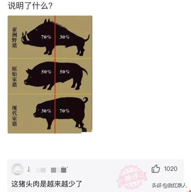 图二是我家麦田，找他们索赔十亿多吗？爆笑神评：你的云呢？