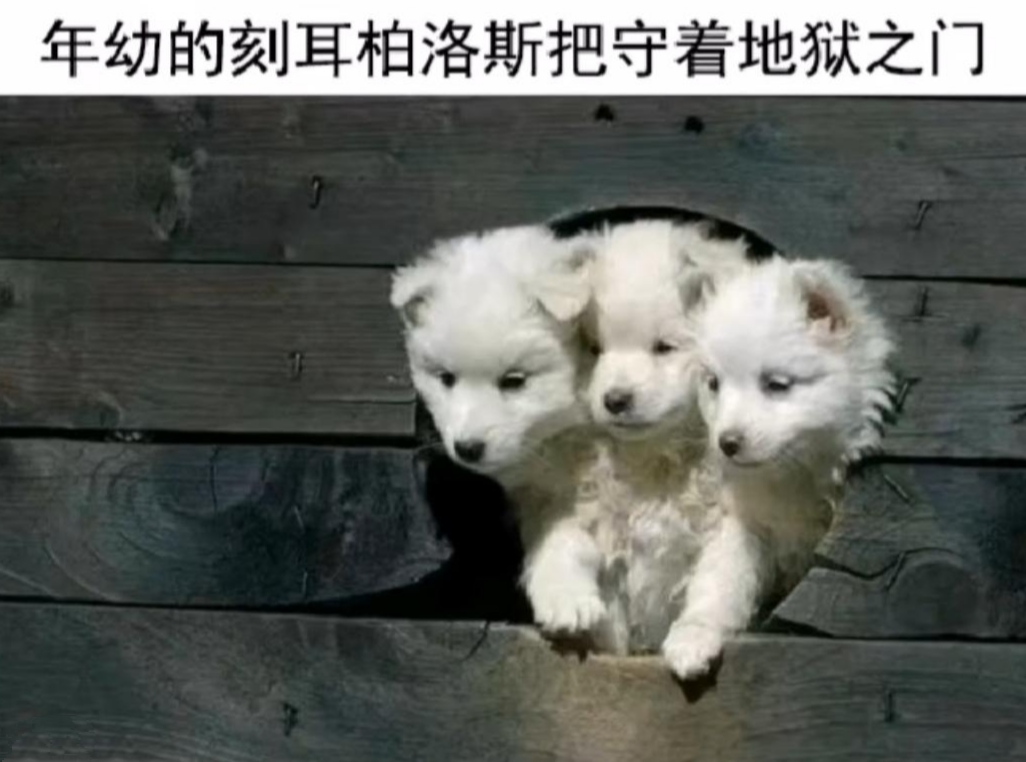 搞笑趣图:爸爸给你选的媳妇VS妈妈选的媳妇… 搞笑趣图:爸爸给你选的媳妇VS妈妈选的媳妇…