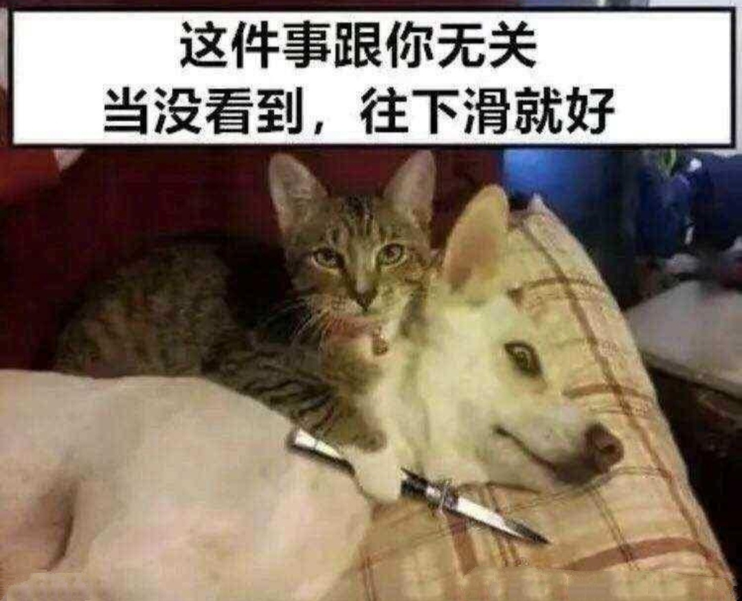 搞笑趣图:爸爸给你选的媳妇VS妈妈选的媳妇… 搞笑趣图:爸爸给你选的媳妇VS妈妈选的媳妇…
