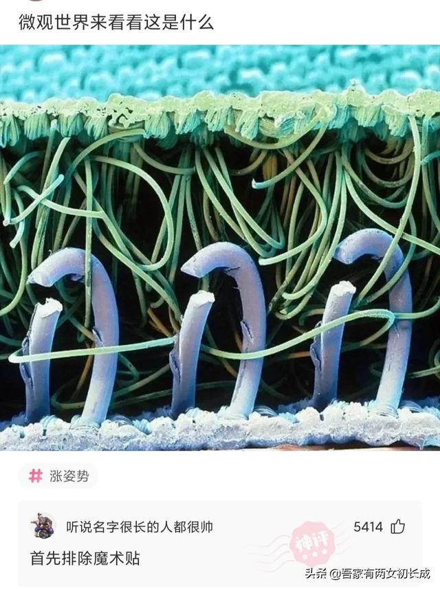 神回复:明明一把火就可以烧光鸦片,为什么林则徐偏要用海水浸泡 神回复:明明一把火就可以烧光鸦片,为什么林则徐偏要用海水浸泡