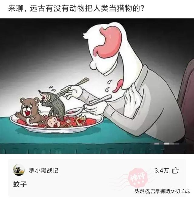 神回复:明明一把火就可以烧光鸦片,为什么林则徐偏要用海水浸泡 神回复:明明一把火就可以烧光鸦片,为什么林则徐偏要用海水浸泡