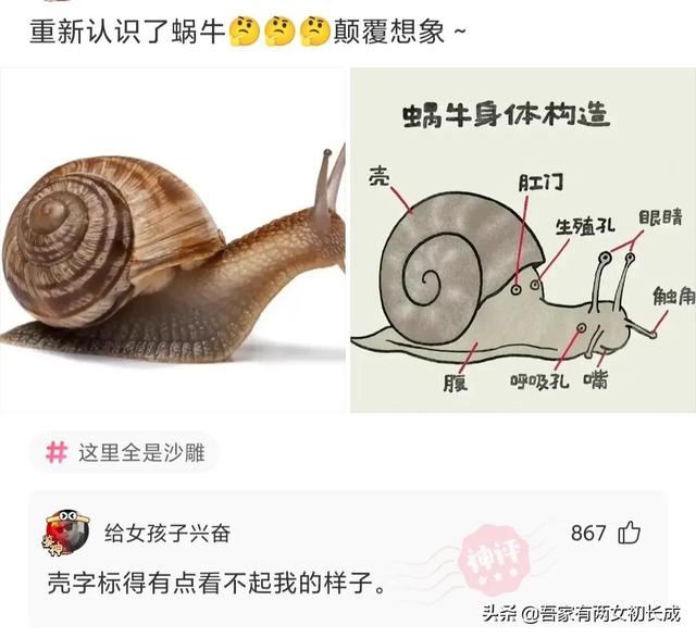 神回复:明明一把火就可以烧光鸦片,为什么林则徐偏要用海水浸泡 神回复:明明一把火就可以烧光鸦片,为什么林则徐偏要用海水浸泡
