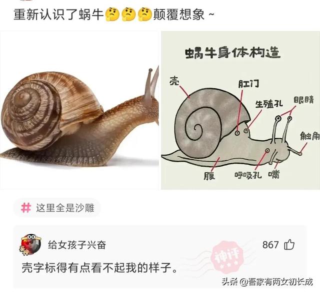 神回复：明明一把火就可以烧光鸦片，为什么林则徐偏要用海水浸泡