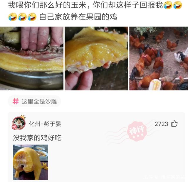 神回复:如果一个公司给7500周六上班,一个公司7000双休,选哪个 神回复:如果一个公司给7500周六上班,一个公司7000双休,选哪个