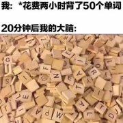 搞笑趣图：当我花费两小时背了五十个单词，20分钟后我的大脑…