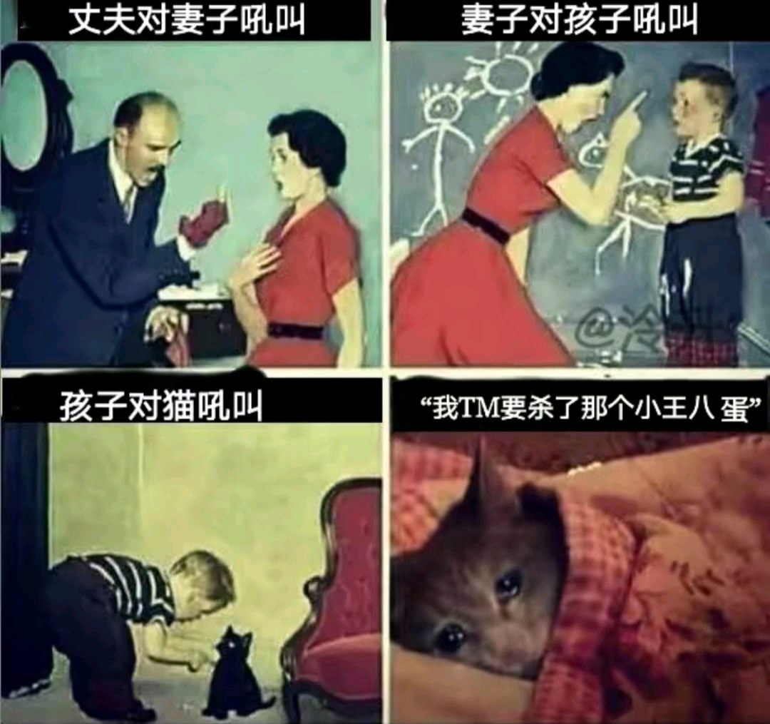 搞笑趣图:当我花费两小时背了五十个单词,20分钟后我的大脑… 搞笑趣图:当我花费两小时背了五十个单词,20分钟后我的大脑…