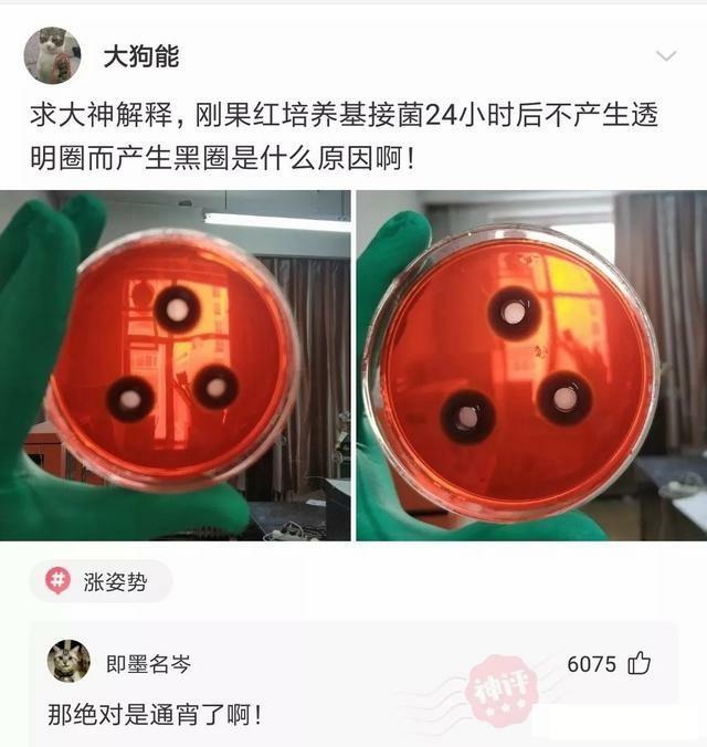 “女生们是怎么看待处男的？”评论把我笑死，真绝了哈哈哈