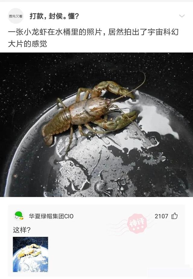 “女生们是怎么看待处男的？”评论把我笑死，真绝了哈哈哈