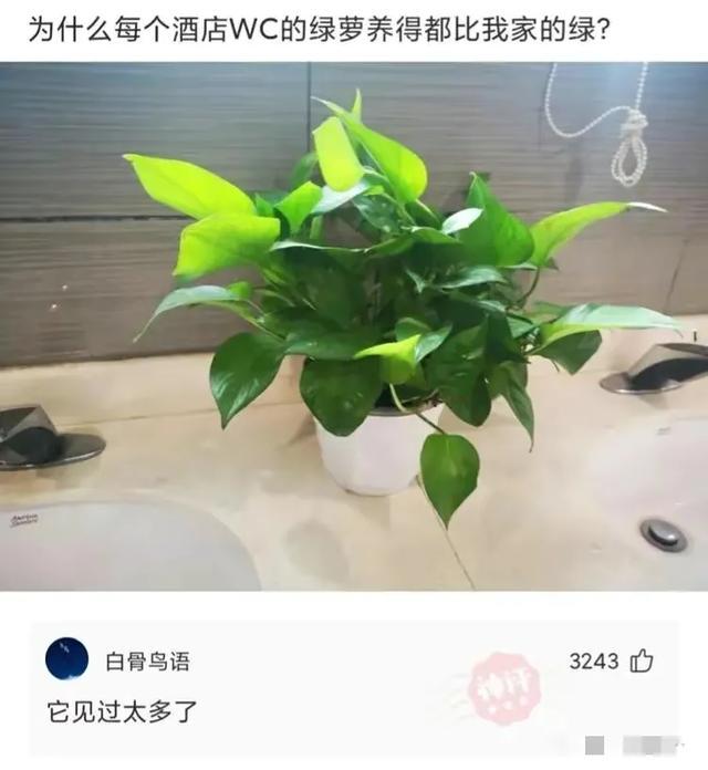 神评爆笑合集:看来今年峡谷供热不太好啊,英雄都穿两件衣服了 神评爆笑合集:看来今年峡谷供热不太好啊,英雄都穿两件衣服了