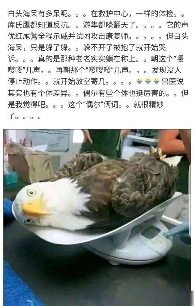 这真是我听说过的最离谱的出轨原因了! 这真是我听说过的最离谱的出轨原因了!