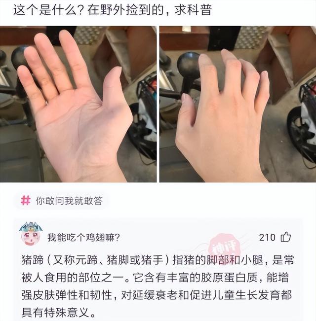 「盐选神回复」皮友们求助接下来我要怎么说 「盐选神回复」皮友们求助接下来我要怎么说