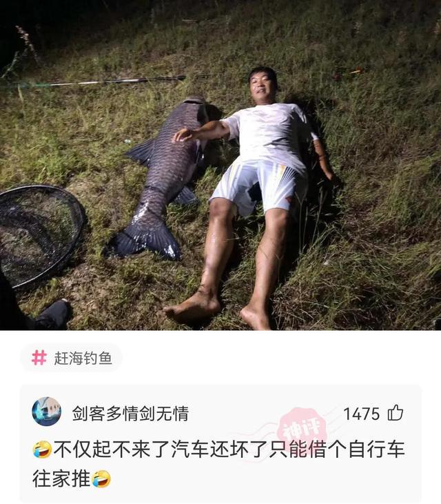 「快乐神回复」这张图到底是什么意思? 「快乐神回复」这张图到底是什么意思?