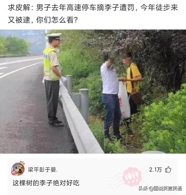 爆笑神评合辑:女朋友去世了,要不要删除她的微信? 爆笑神评合辑:女朋友去世了,要不要删除她的微信?