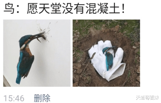 “鸟:愿天堂没有混凝土!”但凡遇上黑心工程也不至于啊 “鸟:愿天堂没有混凝土!”但凡遇上黑心工程也不至于啊