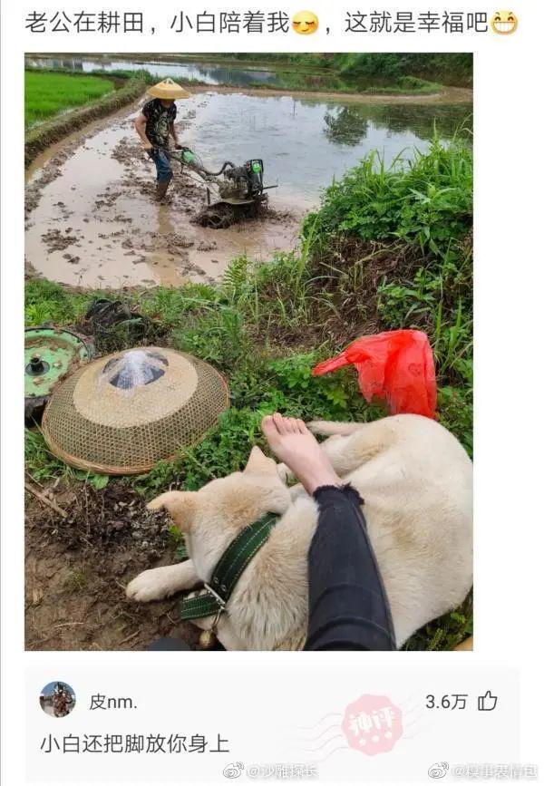 “相亲用这张图片会显得贤惠吗?”网友这建议太笋了哈哈哈!! “相亲用这张图片会显得贤惠吗?”网友这建议太笋了哈哈哈!!