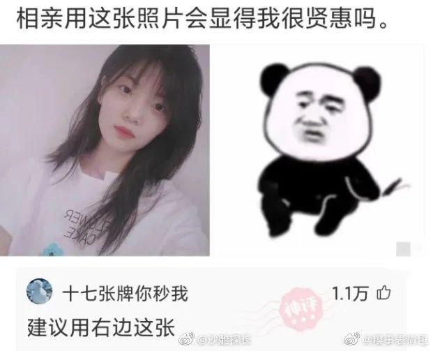 “相亲用这张图片会显得贤惠吗?”网友这建议太笋了哈哈哈!! “相亲用这张图片会显得贤惠吗?”网友这建议太笋了哈哈哈!!