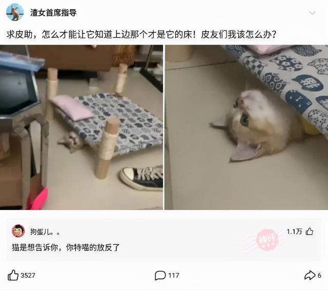 神回复:女朋友化妆跟不化妆的区别 神回复:女朋友化妆跟不化妆的区别