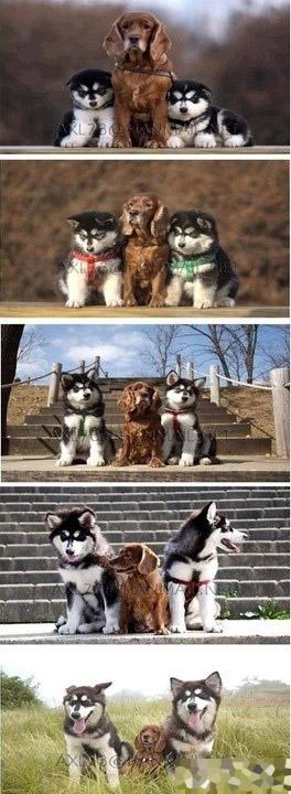 时间流逝你永远是我们的大哥 时间流逝你永远是我们的大哥