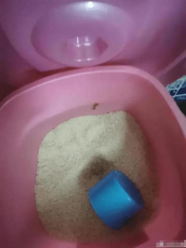 “我错了,我以后再也不在网上乱约了!”哈哈哈哈一位网友的自述! “我错了,我以后再也不在网上乱约了!”哈哈哈哈一位网友的自述!