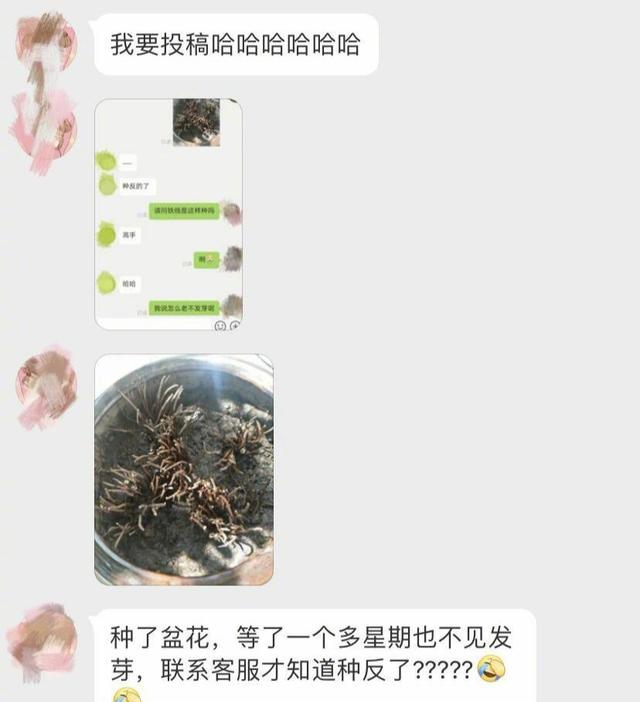 “我错了,我以后再也不在网上乱约了!”哈哈哈哈一位网友的自述! “我错了,我以后再也不在网上乱约了!”哈哈哈哈一位网友的自述!
