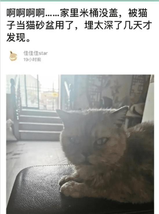 “我错了,我以后再也不在网上乱约了!”哈哈哈哈一位网友的自述! “我错了,我以后再也不在网上乱约了!”哈哈哈哈一位网友的自述!
