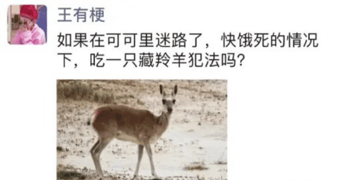 “原来燕小六头上一直戴的是搓澡巾?”现在才看出来...哈哈哈哈 “原来燕小六头上一直戴的是搓澡巾?”现在才看出来...哈哈哈哈