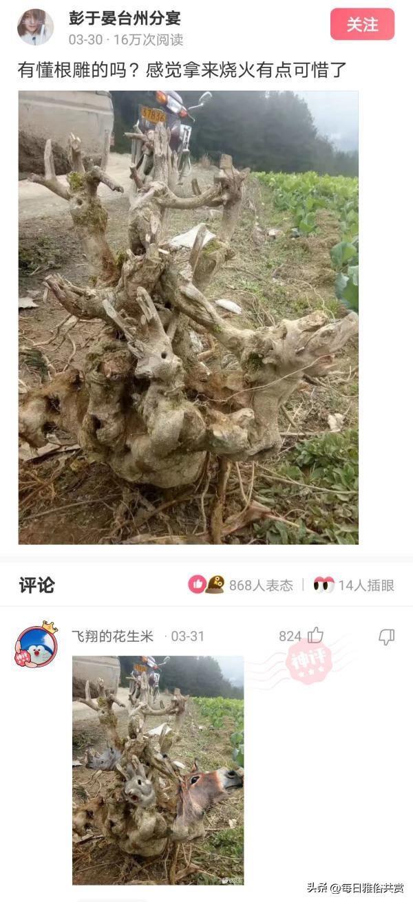「盐选神回复」朋友们问一下这是啥?好去掉吗? 「盐选神回复」朋友们问一下这是啥?好去掉吗?