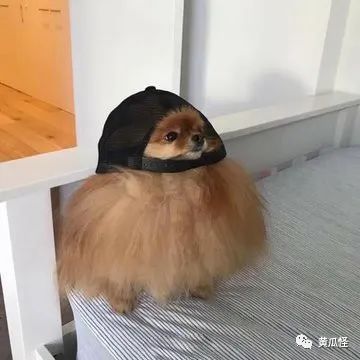 女友给我发了她的性感睡衣照,太羞耻了 女友给我发了她的性感睡衣照,太羞耻了