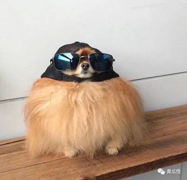 女友给我发了她的性感睡衣照,太羞耻了 女友给我发了她的性感睡衣照,太羞耻了