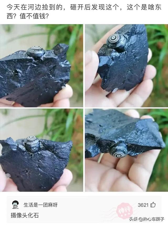 老婆生了二胎,左边是儿子,右边是邻居,朋友都让我去做亲子鉴定 老婆生了二胎,左边是儿子,右边是邻居,朋友都让我去做亲子鉴定