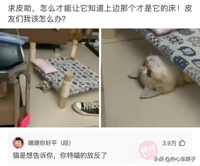 老婆生了二胎,左边是儿子,右边是邻居,朋友都让我去做亲子鉴定 老婆生了二胎,左边是儿子,右边是邻居,朋友都让我去做亲子鉴定