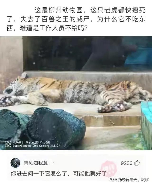 爆笑神评:原子弹来的时候怎么逃走?神评是认真的吗,把我笑炸了 爆笑神评:原子弹来的时候怎么逃走?神评是认真的吗,把我笑炸了