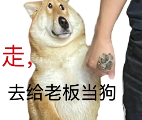 轻松一刻:国内996算什么?推特已经开始997了! 轻松一刻:国内996算什么?推特已经开始997了!