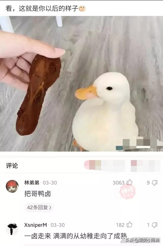 神评论:奔驰停在路边,晚上轮毂被锁上百次,这是触犯天条了? 神评论:奔驰停在路边,晚上轮毂被锁上百次,这是触犯天条了?