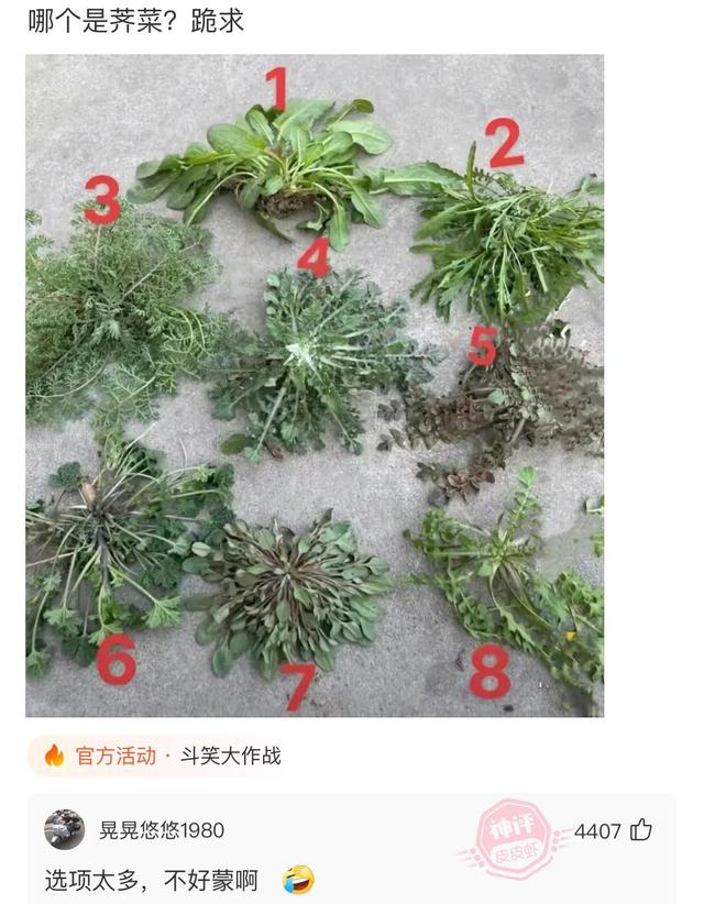 爆笑神评:老婆信佛非要装个灯,佛祖会喜欢吗? 爆笑神评:老婆信佛非要装个灯,佛祖会喜欢吗?