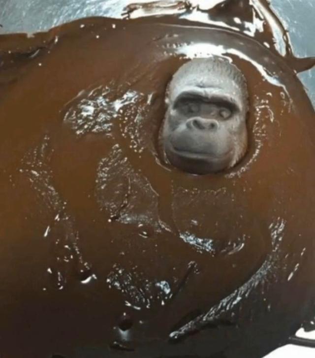 搞笑照片:印度这个国家好神奇,他好像不在牛顿的管辖范围 搞笑照片:印度这个国家好神奇,他好像不在牛顿的管辖范围