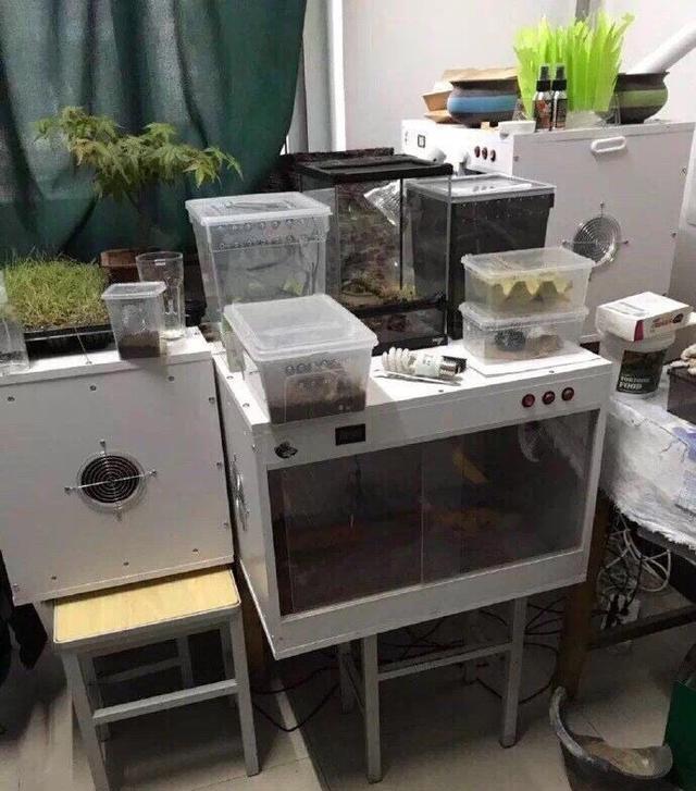 搞笑照片:印度这个国家好神奇,他好像不在牛顿的管辖范围 搞笑照片:印度这个国家好神奇,他好像不在牛顿的管辖范围