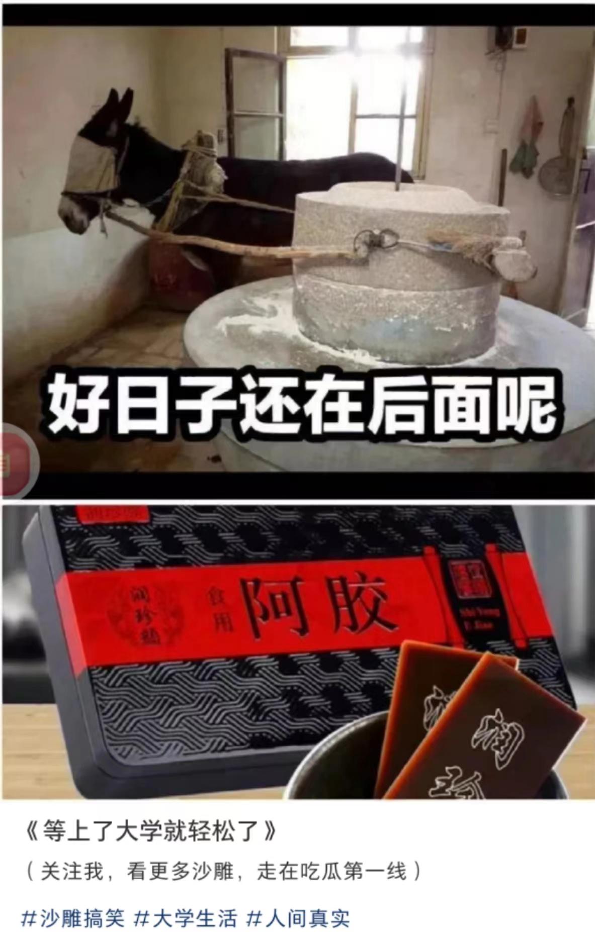 轻松一秒:测一测,你每天的运动量有多少? 轻松一秒:测一测,你每天的运动量有多少?