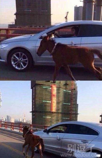 如此潮流的生活。。。
