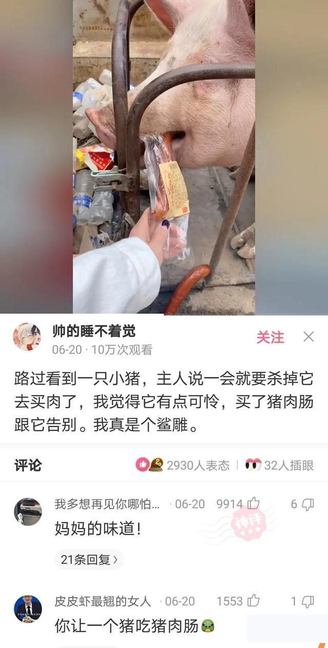 神回复：长城这么矮能拦住什么呢？看完神评服了，好有道理